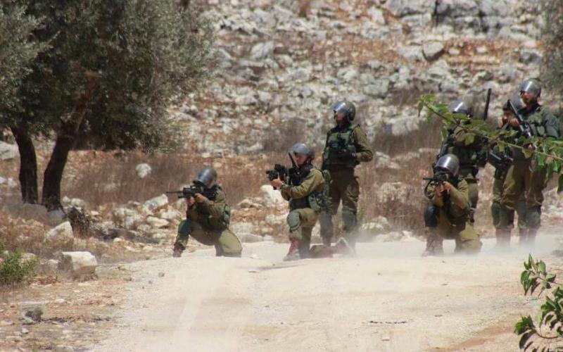 14021545_1499686533407095_1119386324994203583_n