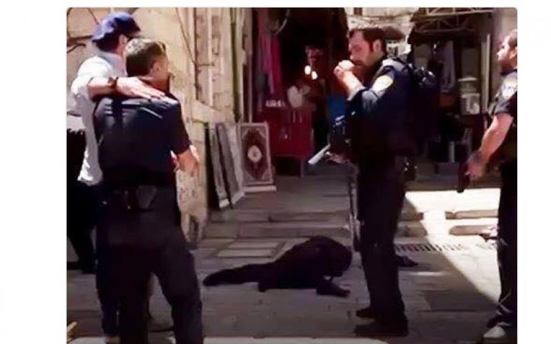 158fa1d2d72482_FLOJKHQIGNEMP