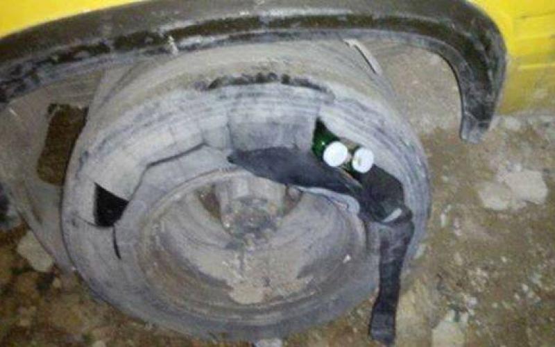 15995393_1770183879972763_1338816277_n