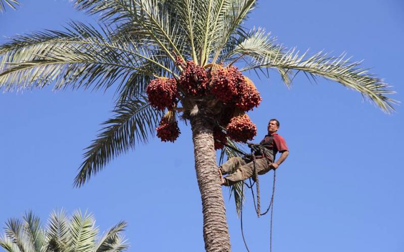 14519707_641672386002313_1294015594974415922_n (1)