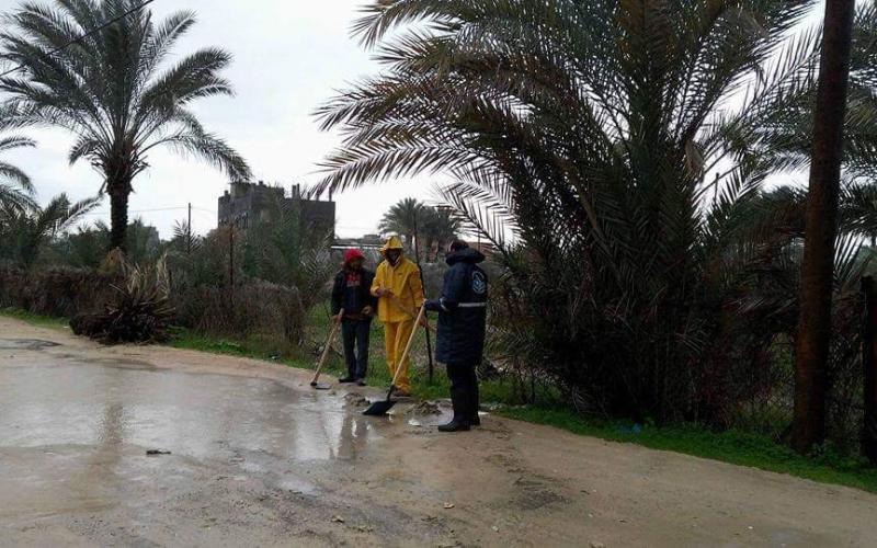 16683979_1039343859542831_8252471017979413134_n