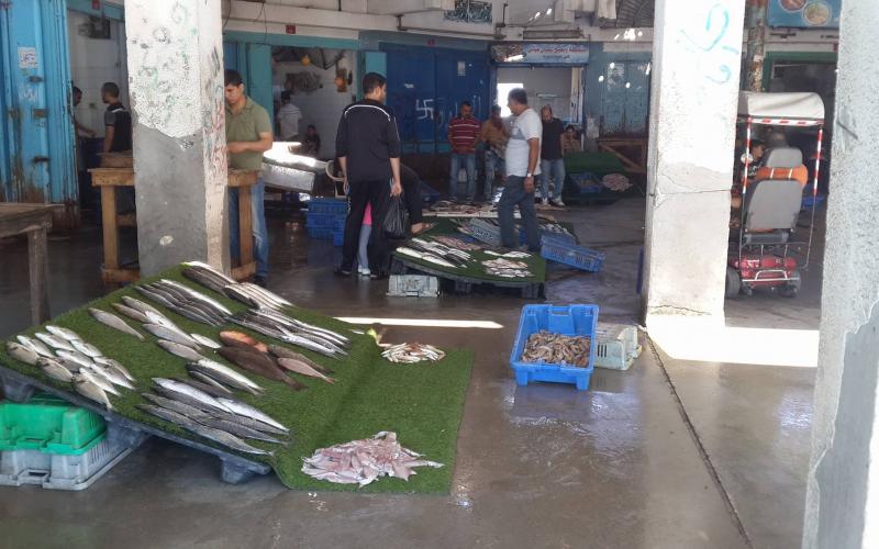 14522439_933210140156204_1929424133_o