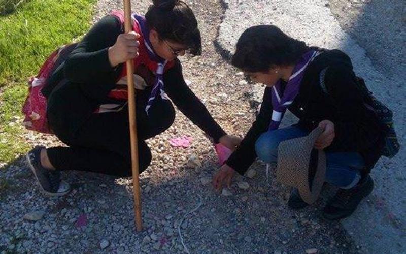 12767461_1135024509892972_671728704_n