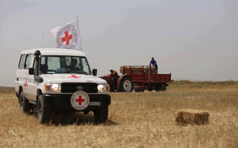 13239433_1169113489832217_5501239388481748080_n