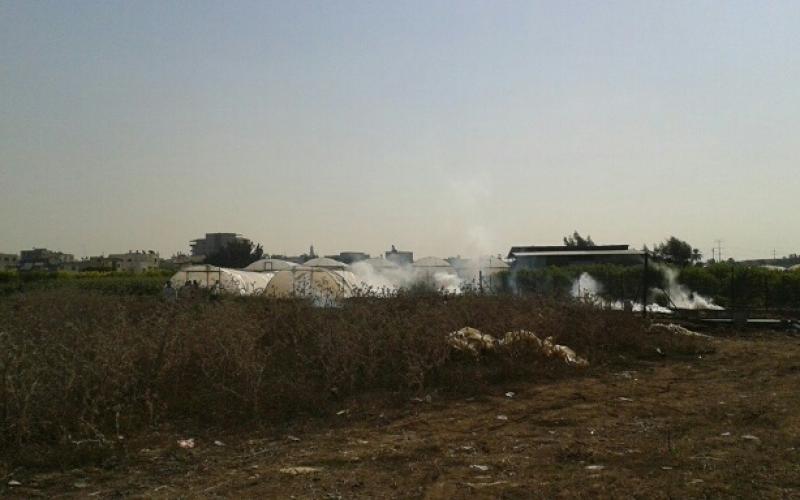 Zello_Palpress_20151016_064051