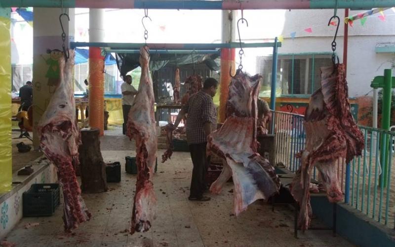 14344359_1129279287152769_1551682592168474860_n