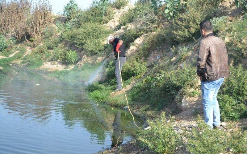 13012775_833701370107082_7733201053406046564_n