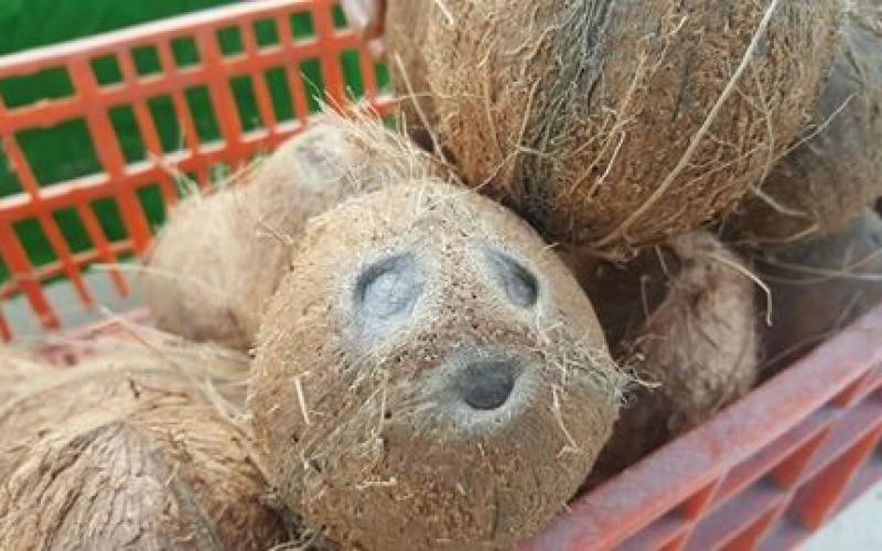 16809434_10212224363428352_816266190_n