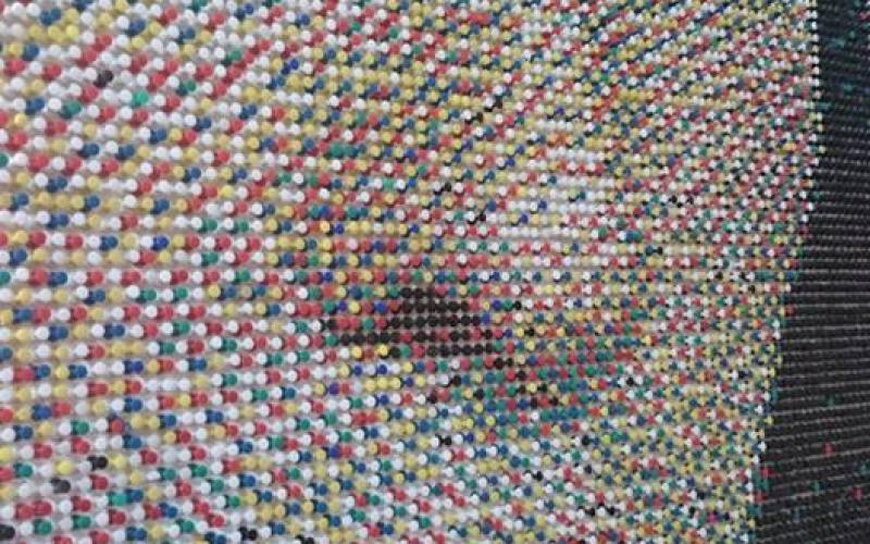 12508873_1245050482175591_3443929595346377809_n