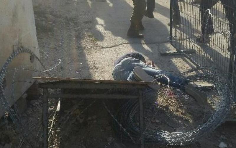 14292533_1550986128277135_6307166969726300490_n