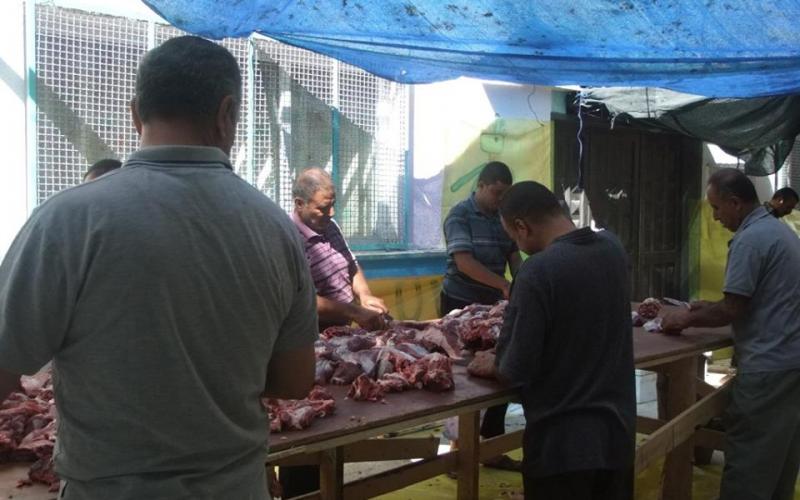 14390846_1129279137152784_1577104929309763288_n