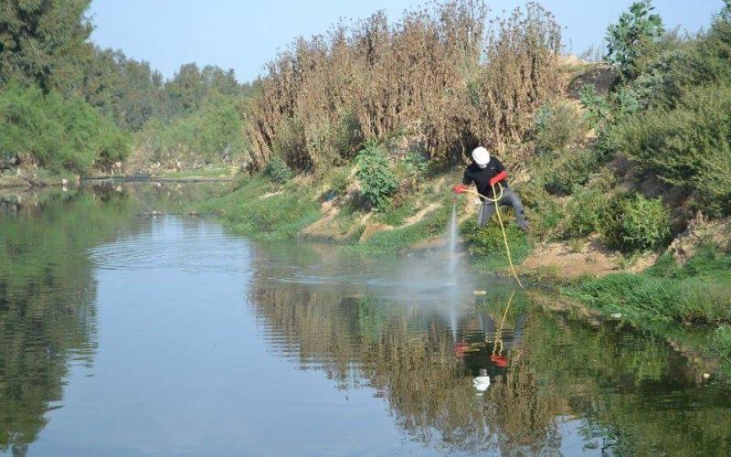 13043394_833701430107076_5290883191017071335_n