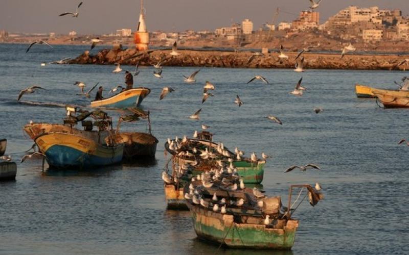 صور.. بحر غزة الذهبي وقت الغروب
