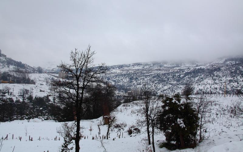 صور.. سحر الطبيعة الثلجية في لبنان