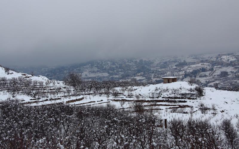 صور.. سحر الطبيعة الثلجية في لبنان