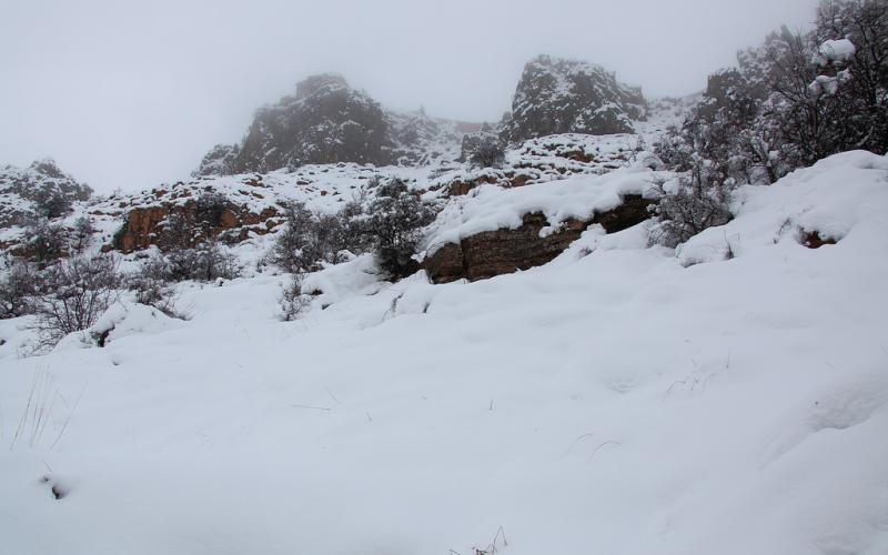 صور.. سحر الطبيعة الثلجية في لبنان