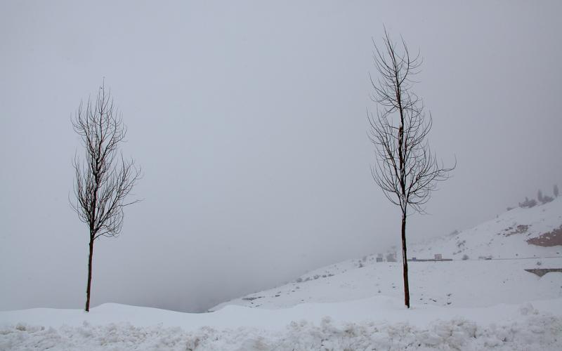 صور.. سحر الطبيعة الثلجية في لبنان