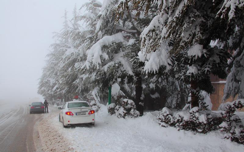 صور.. سحر الطبيعة الثلجية في لبنان