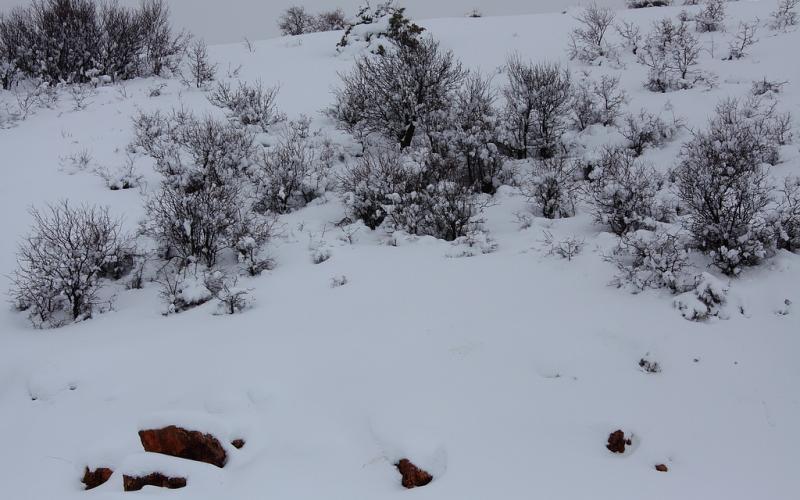 صور.. سحر الطبيعة الثلجية في لبنان