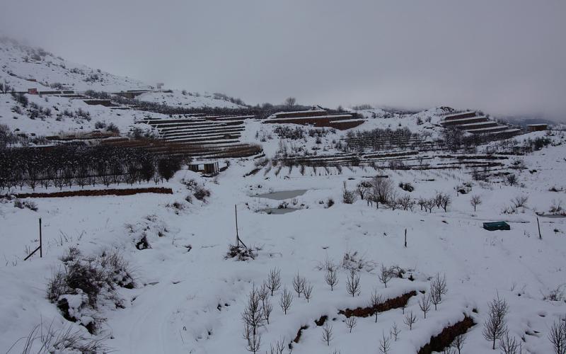 صور.. سحر الطبيعة الثلجية في لبنان