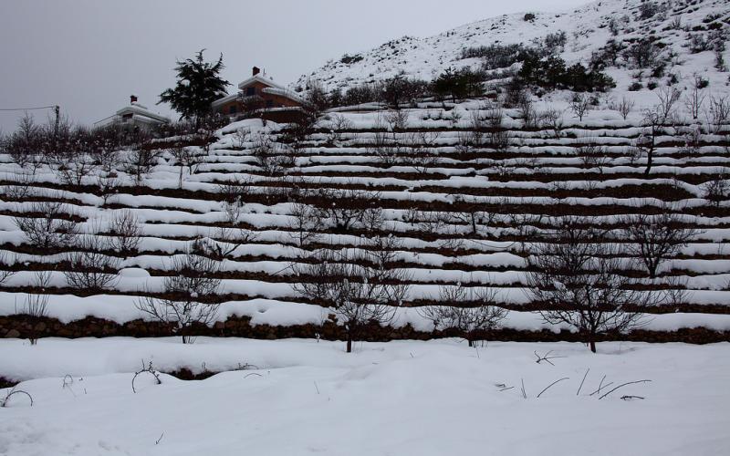 صور.. سحر الطبيعة الثلجية في لبنان