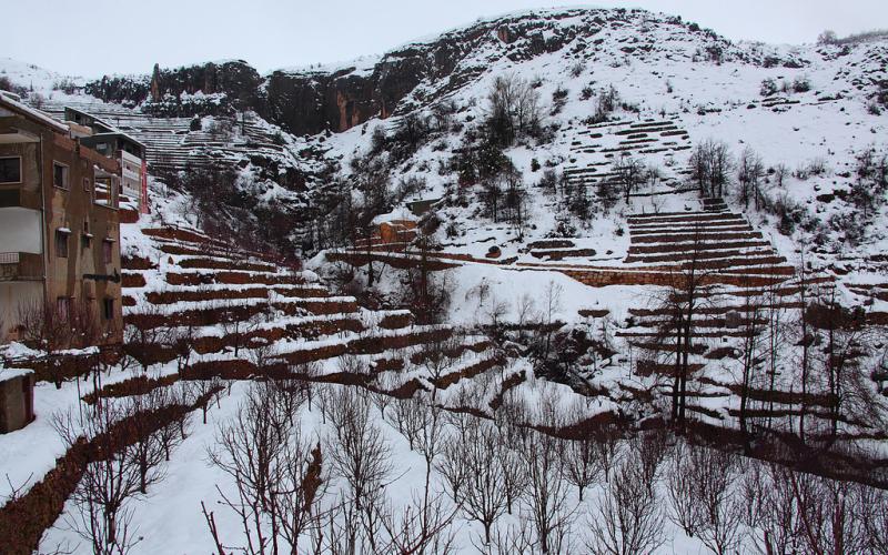 صور.. سحر الطبيعة الثلجية في لبنان