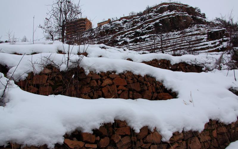 صور.. سحر الطبيعة الثلجية في لبنان