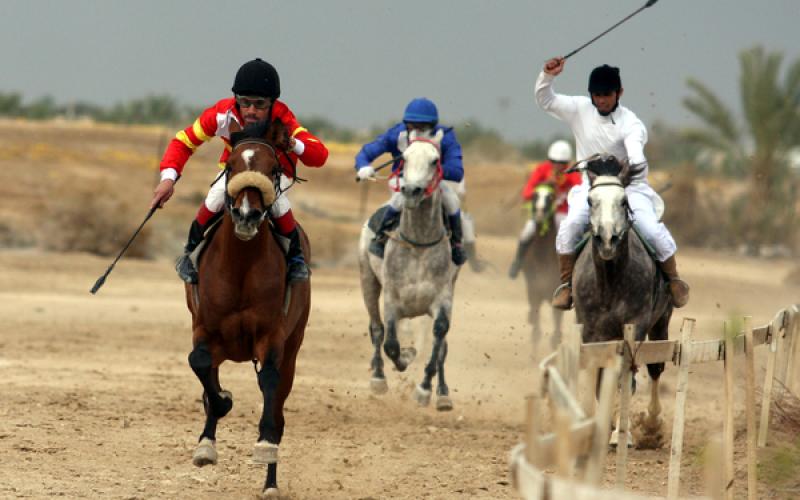 صور.. سباق الخيول الأصيلة في أريحا