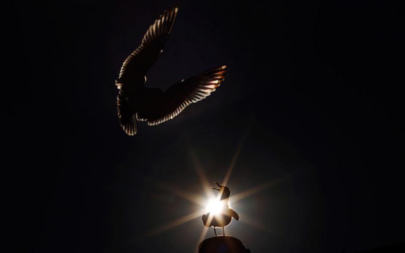 صور .. أفضل الصور الطبيعية لعام 2012