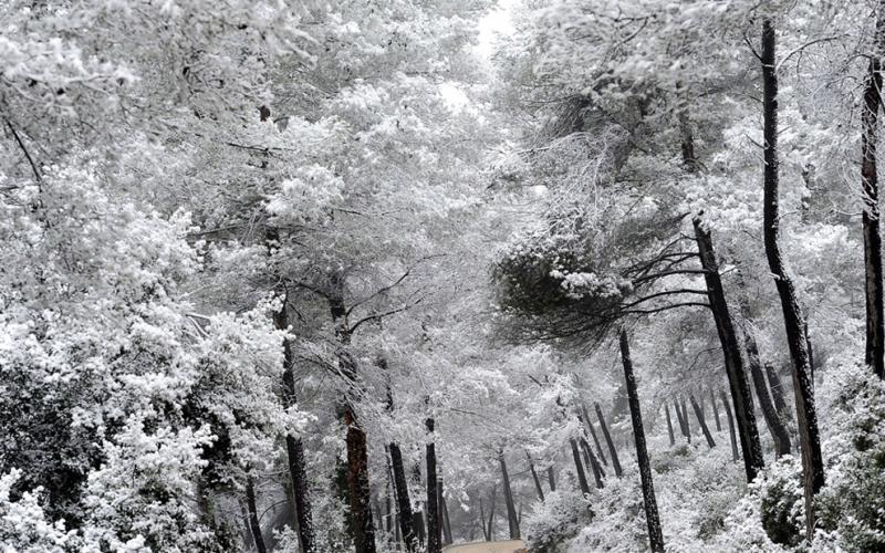صور .. أفضل الصور الطبيعية لعام 2012