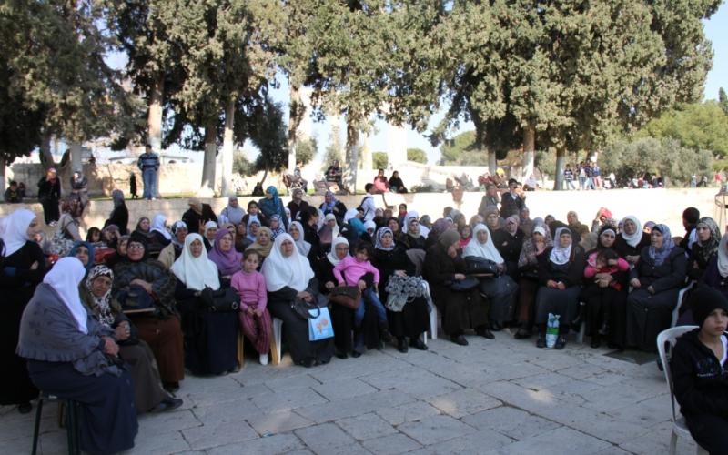 صور.. إحياء مصاطب العلم في المسجد الأقصى‎