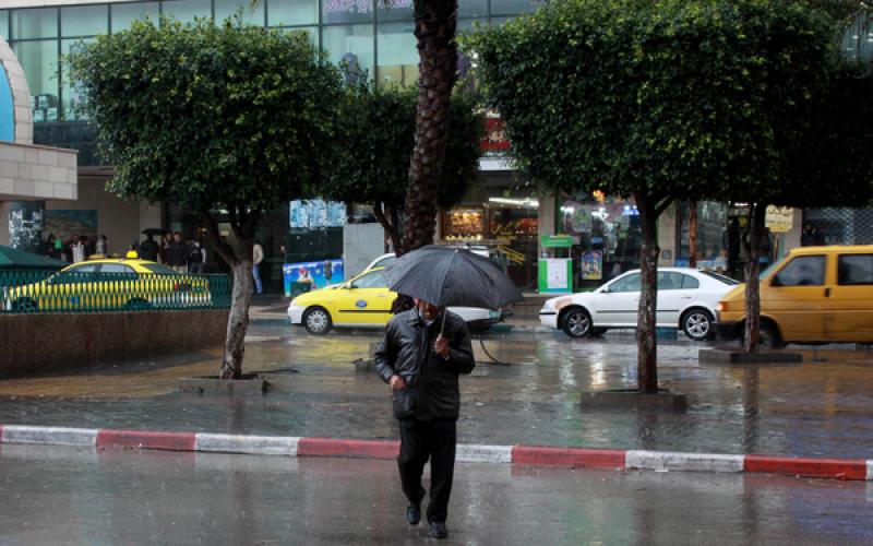 صور.. أمطار الخير تهطل على "نابلس"