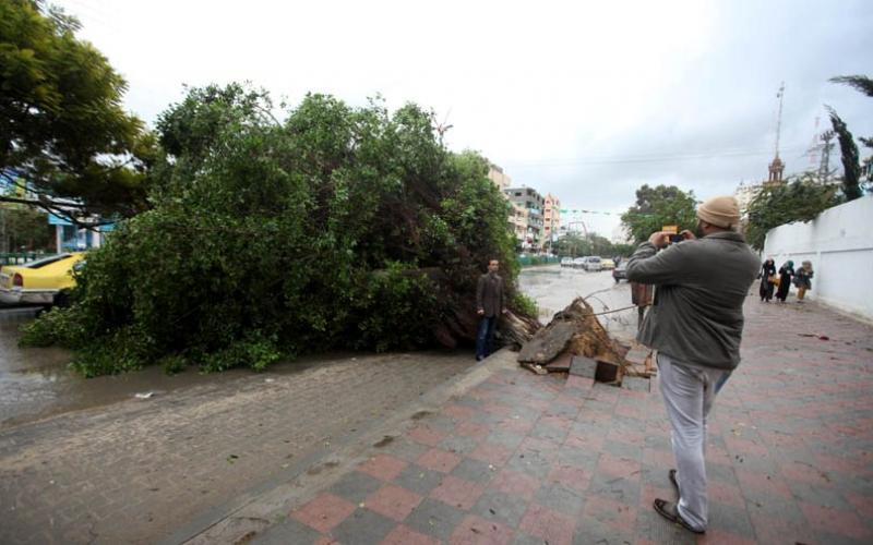 صور.. إصابات وأضرار نتيجة للمنخفض بغزة