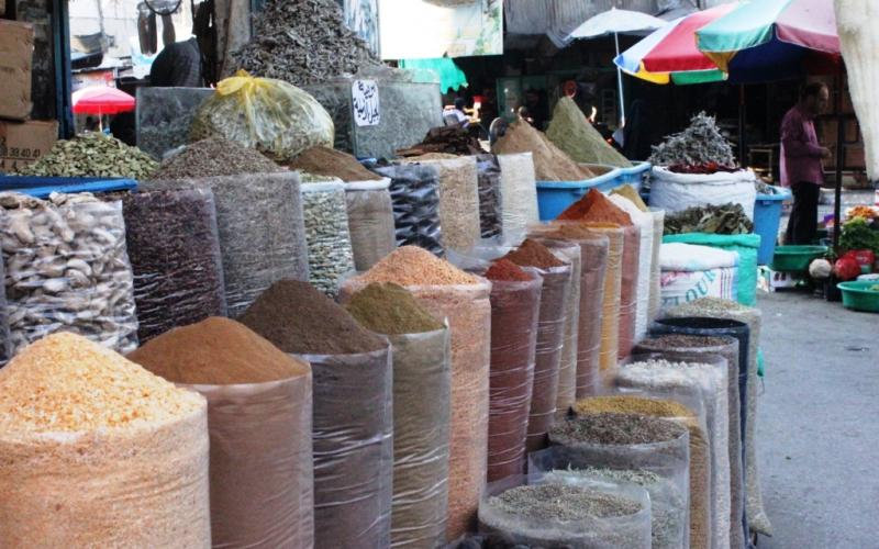 صور.. جولة في مدينة غزة