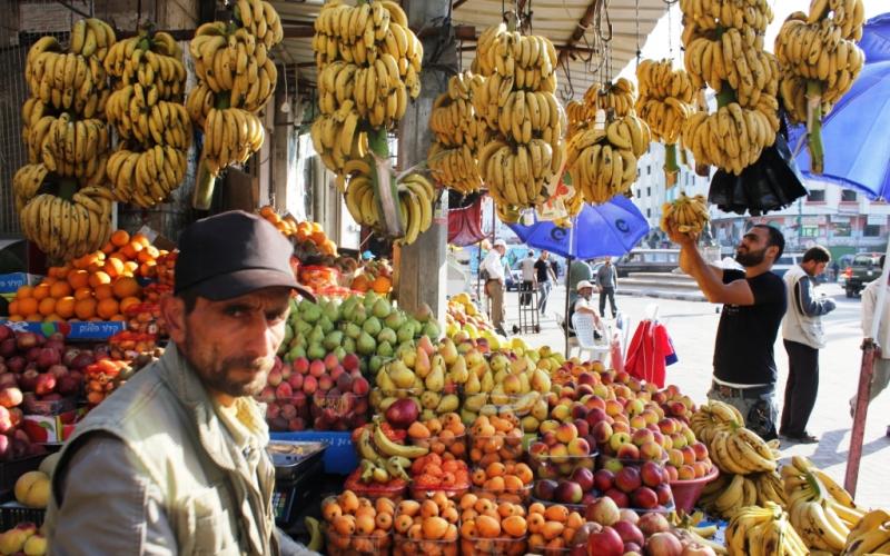 صور.. جولة في مدينة غزة