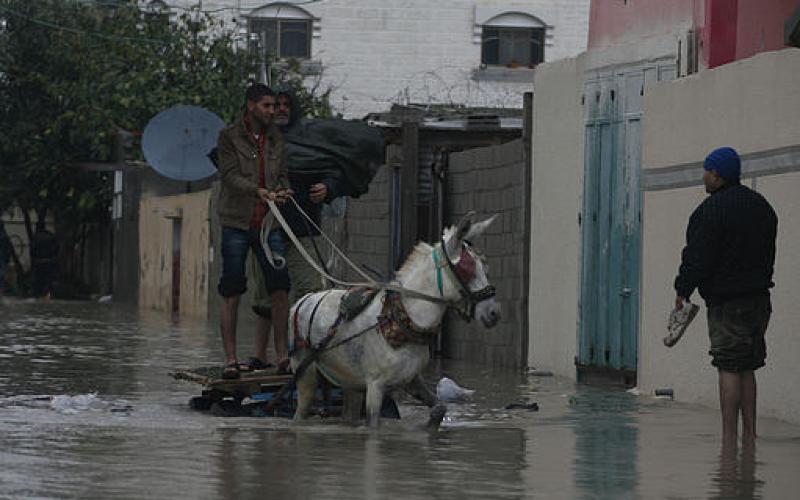 صور.. منخفض "ديشوم" يغرق مدينة رفح