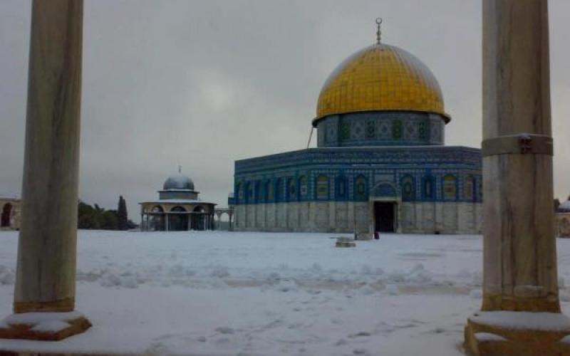 M75 بنكهة مقدسية (صور)