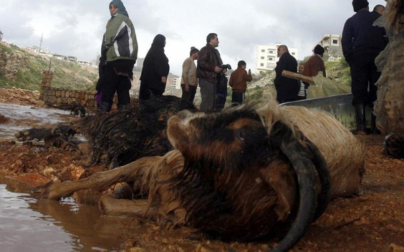 صور.. الأمطار تشل الحركة في لبنان