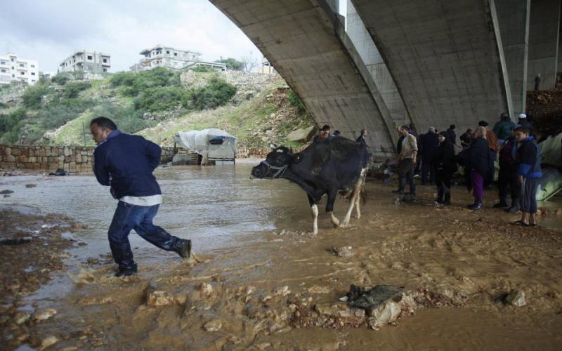 صور.. الأمطار تشل الحركة في لبنان
