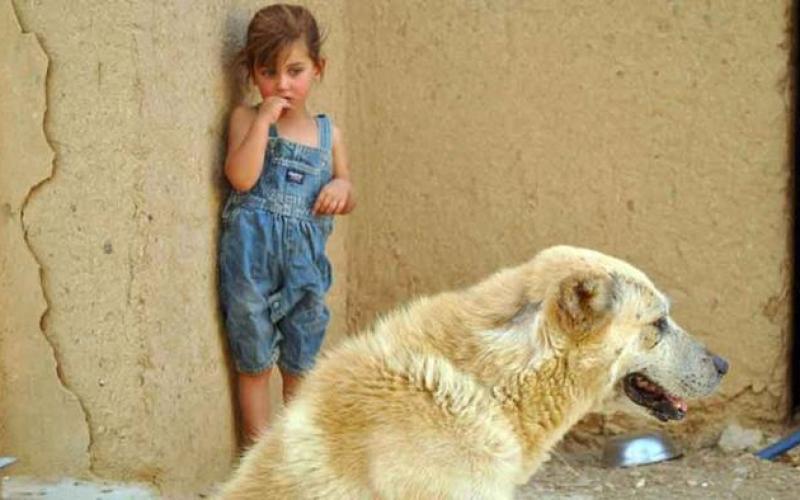 صور .. حكــاياتُ أطفـالِ العراق