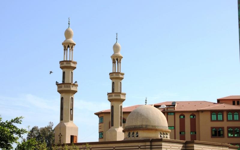 صور.. جولة في الجامعة الإسلامية