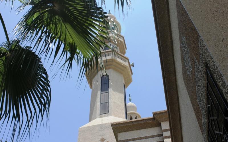 صور.. جولة في الجامعة الإسلامية