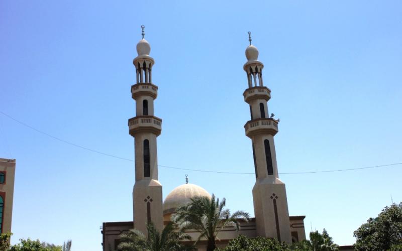 صور.. جولة في الجامعة الإسلامية