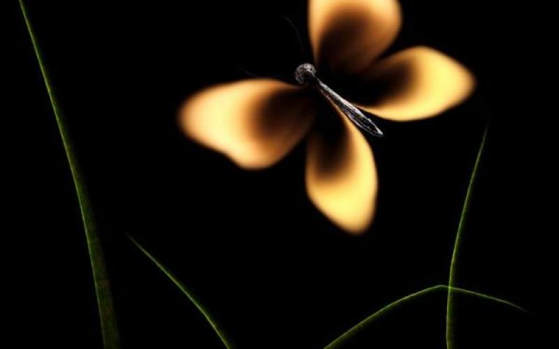 صور .. الرسومات الدخانية عمل فني إبداعي