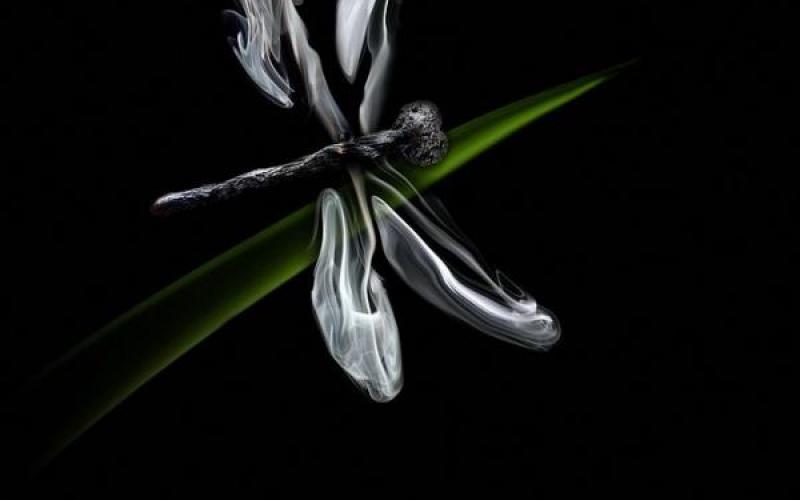 صور .. الرسومات الدخانية عمل فني إبداعي