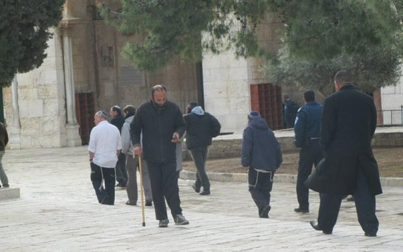 بالصور..الاحتلال يسوّق لهدم الأقصى وبناء الهيكل