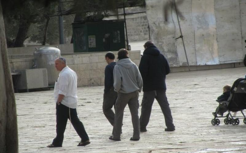 بالصور..الاحتلال يسوّق لهدم الأقصى وبناء الهيكل