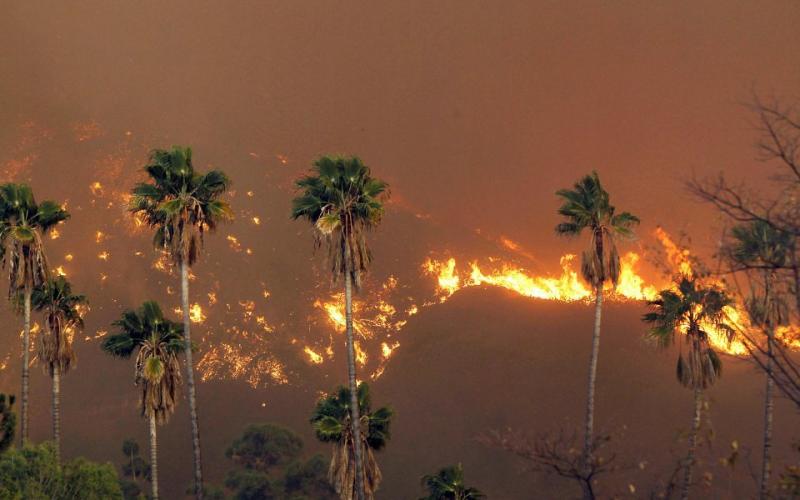 صور: حرائق هائلة في ضواحي لوس أنجلوس
