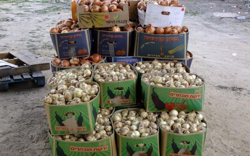 بالصور: سوق للدلالة يبصر النور في البريج