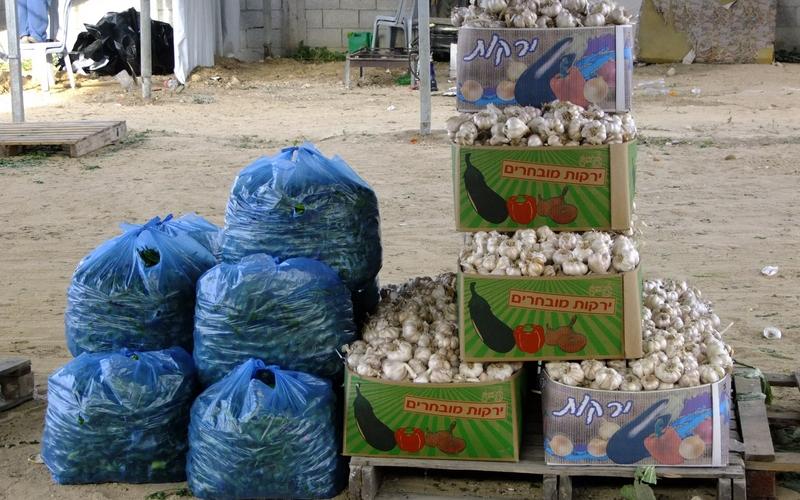 بالصور: سوق للدلالة يبصر النور في البريج